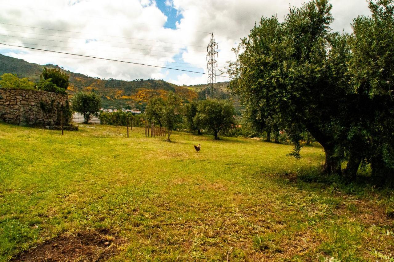 Vila Quintinha Vicosa Aldeia Vicosa Exteriér fotografie